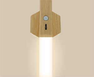 Smart Home Wooden Small Night Lamp Lamp LED Induction